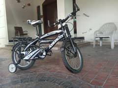 Altis Bike - Bindawood kinds Bicycle