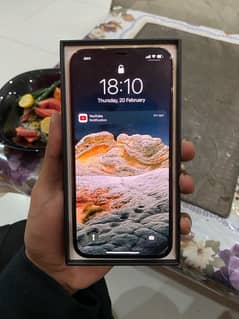 iphone 12 pro max pta approved