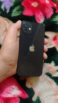 Iphone 12 dotted. PTA approved. dual sim. 64 gb