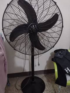 Standing Fan