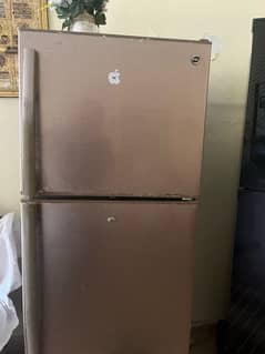 pel fridge