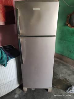 fridge electrolux