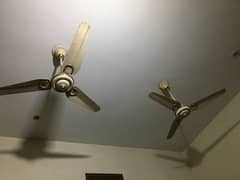 5 fan 1 year chalty hoiy for sell good condition