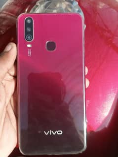 vivo