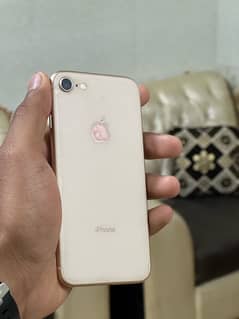 i phone 8 pta approved with box 64 Gb 10/10 condition