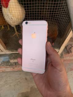 iPhone 6s PTA approved