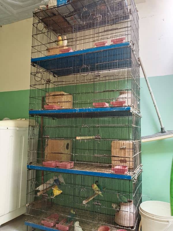 love bird cage for sale 40000 1