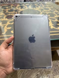 iPad mini 5 cellular