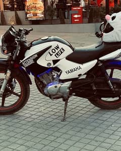 Yamaha