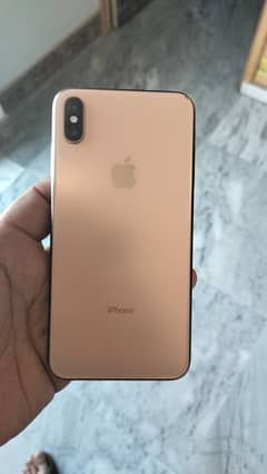 Xs Max pta approved