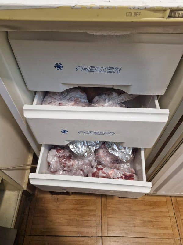 Vertical Freezer 1