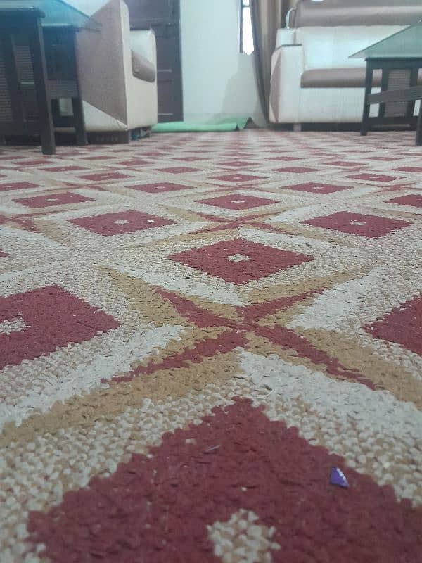 carpet 1