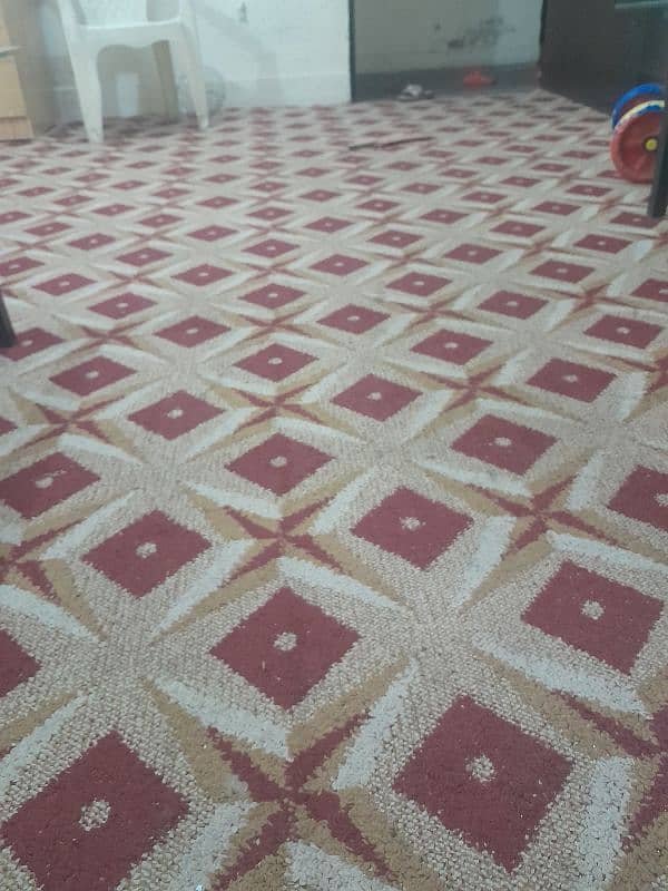 carpet 2