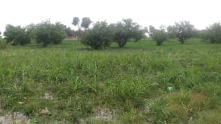 Ideal 2 Acre Land For Sale at Samundri Road Faisalabad (Best For Farmhouse & Farming)