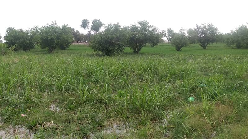 Ideal 2 Acre Land For Sale at Samundri Road Faisalabad (Best For Farmhouse & Farming) 0