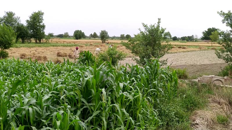 Ideal 2 Acre Land For Sale at Samundri Road Faisalabad (Best For Farmhouse & Farming) 2