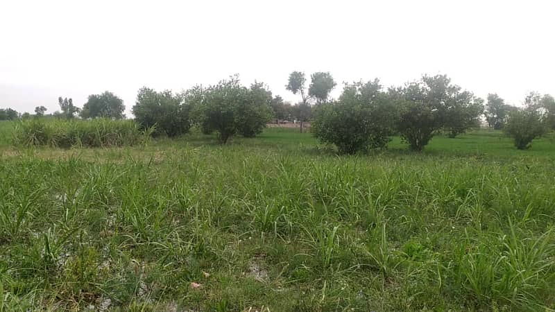 Ideal 2 Acre Land For Sale at Samundri Road Faisalabad (Best For Farmhouse & Farming) 4