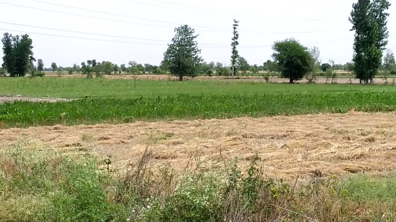 Ideal 2 Acre Land For Sale at Samundri Road Faisalabad (Best For Farmhouse & Farming) 7