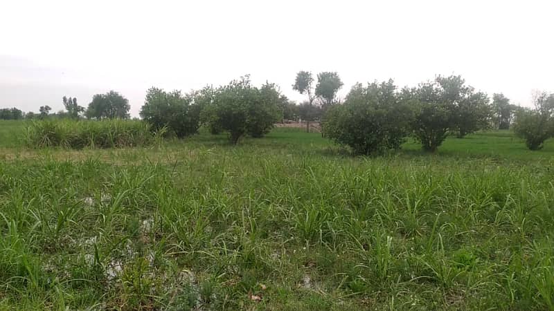 Ideal 2 Acre Land For Sale at Samundri Road Faisalabad (Best For Farmhouse & Farming) 11