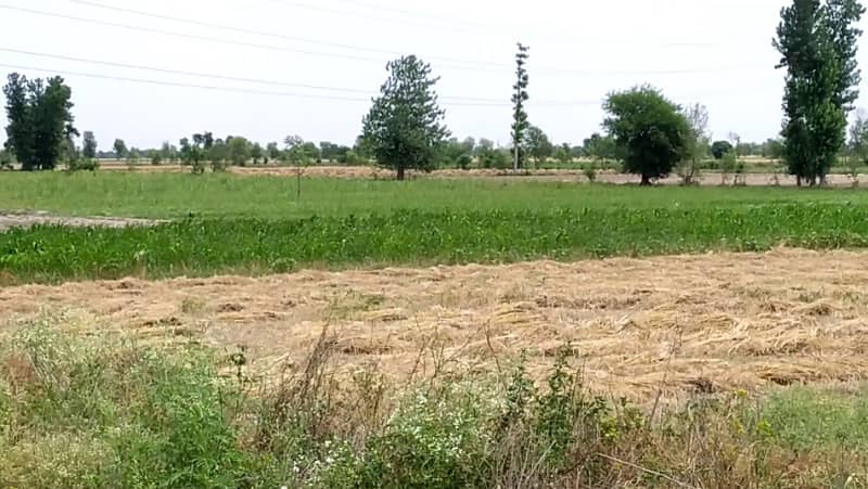 Ideal 2 Acre Land For Sale at Samundri Road Faisalabad (Best For Farmhouse & Farming) 15