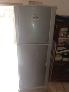 Large size Town in one Fridge and Freezer