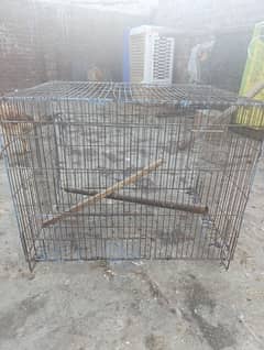 bird's cage available