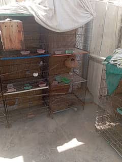 cages available for sale at good offer