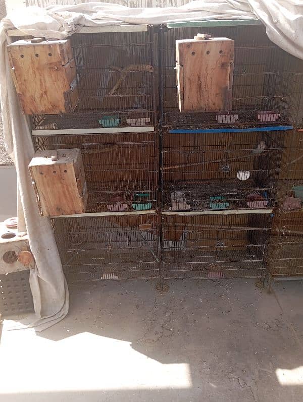 cages available for sale at good offer 1