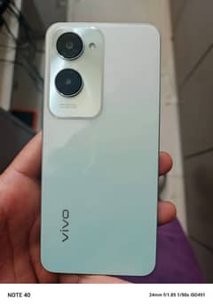 Vivo