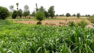 5 Acre Agriculture Land Available For sale at Link Jarranwala Road Faisalabad