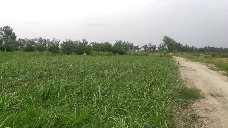 5 Acre Agriculture Land Available For sale at Link Jarranwala Road Faisalabad 4