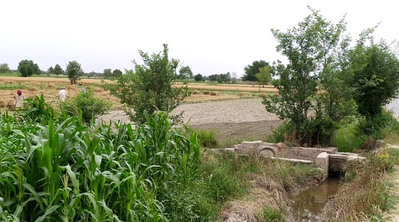 5 Acre Agriculture Land Available For sale at Link Jarranwala Road Faisalabad 5