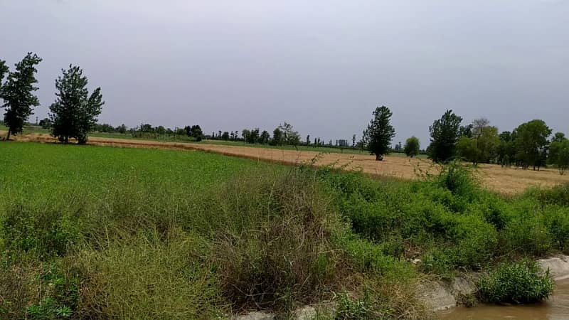 5 Acre Agriculture Land Available For sale at Link Jarranwala Road Faisalabad 7