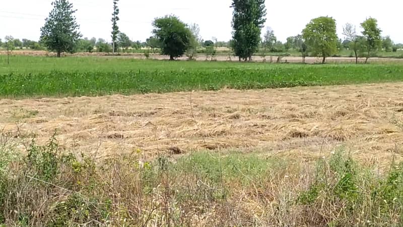 5 Acre Agriculture Land Available For sale at Link Jarranwala Road Faisalabad 9