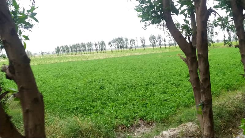 5 Acre Agriculture Land Available For sale at Link Jarranwala Road Faisalabad 13