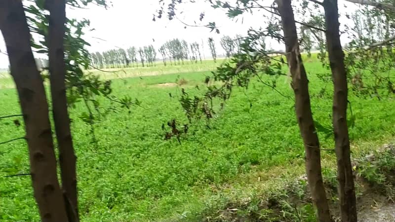 5 Acre Agriculture Land Available For sale at Link Jarranwala Road Faisalabad 15