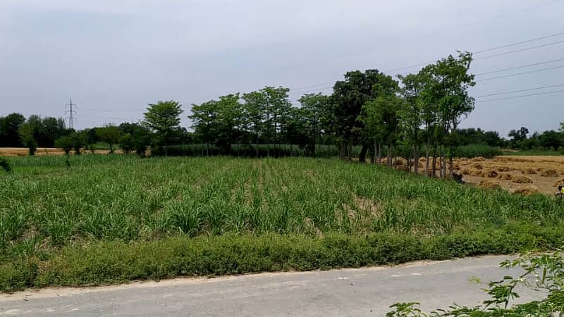 5 Acre Agriculture Land Available For sale at Link Jarranwala Road Faisalabad 16