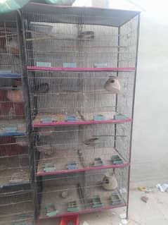 8 portions Cage for sale