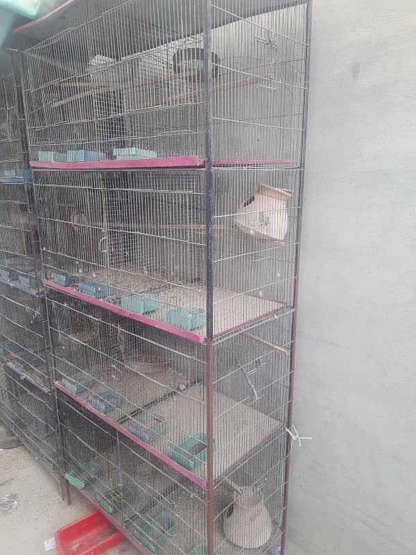 8 portions Cage for sale 1