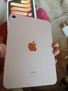 ipad mini 6