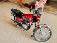 honda 125 2024