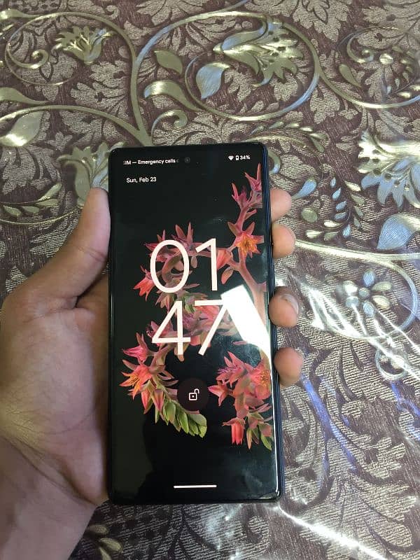 Google Pixel 6 non pta 1