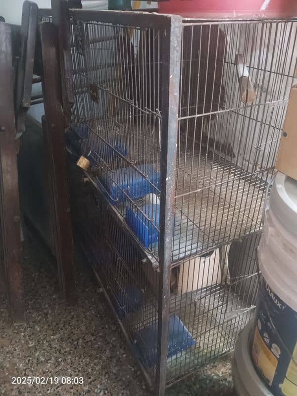 birds cage 4 portions 0