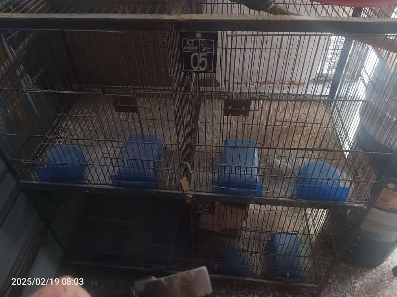 birds cage 4 portions 2