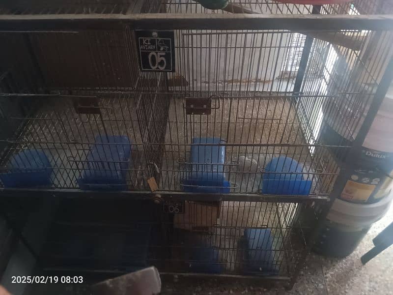 birds cage 4 portions 4