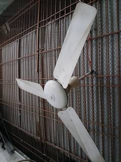 Urgent ceiling fan