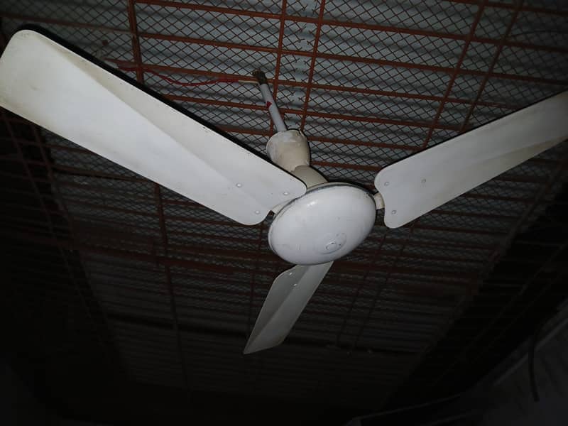 Urgent ceiling fan 1