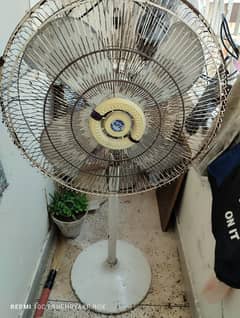 FAN FOR SALE ON URGENT BASIS