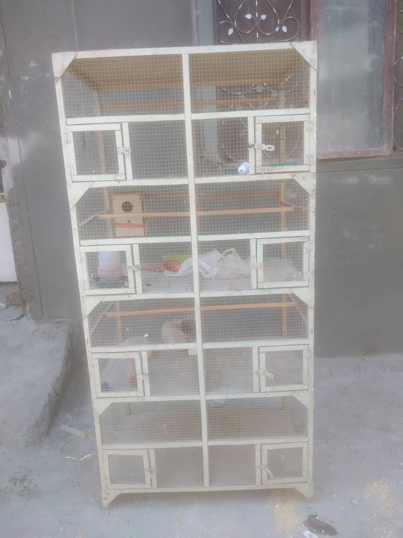 6/3bird cage 03101072126 1