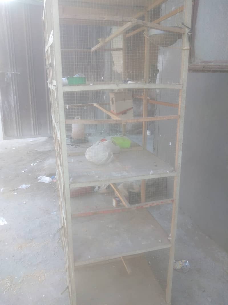 6/3bird cage 03101072126 2